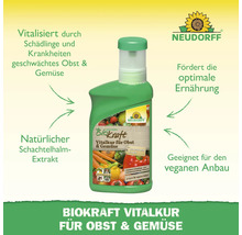 Neudorff Biokraft Vitalkur für Obst und Gemüse in grüner Flasche