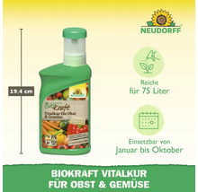 Neudorff Biokraft Vitalkur für Obst und Gemüse, Flasche mit 19,4 cm Höhe