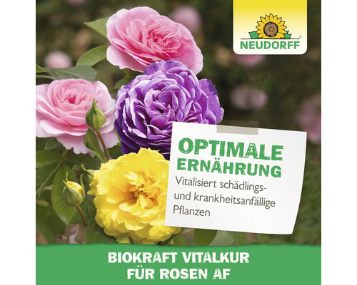 Rosen mit optimaler Ernährung für vitalisierte, schädlings- und krankheitsanfällige Pflanzen, Neudorff Logo
