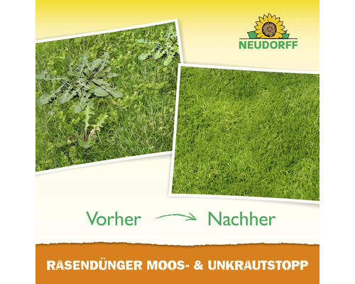 Vorher Nachher Vergleich von Rasen mit Unkraut und Rasen ohne Unkraut durch Rasendünger Moos- und Unkrautstopp