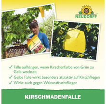 Kirschmadenfalle zur Schädlingsbekämpfung an Kirschbäumen und Walnussbäumen mit Neudorff Logo