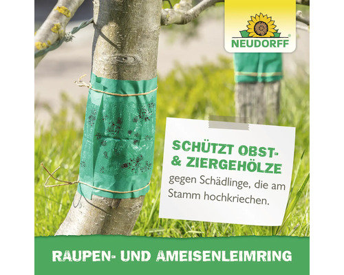 Raupenleimring zum Schutz von Obst- und Ziergehölzen am Baumstamm