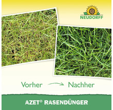 Vorher Nachher Vergleich von Rasen mit Azet Rasendünger und Neudorff Logo