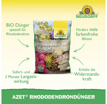 Neudorff Azet Rhododendrondünger Packung