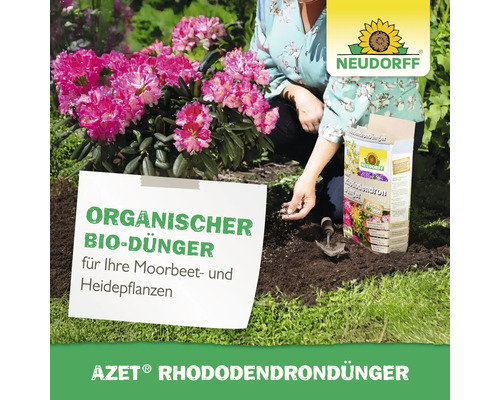 Szene mit Rhododendron, Frau beim Düngen und Neudorff Rhododendron Dünger Packung