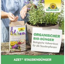 Anwendung von Azet Staudendünger neben einer Topfpflanze mit Neudorff Logo.