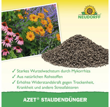Neudorff Azet Staudendünger mit Informationen zur Anwendung und den Vorteilen für starkes Wurzelwachstum