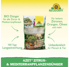 Azet Zitrus- und Mediterranpflanzendünger Packung