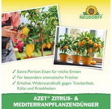 Neudorff Logo. Abbildung von Zitruspflanzen mit Früchten. Vorteile des Azet Zitrus- und Mediterranpflanzendüngers: Extraportion Eisen für reiche Ernten, aromatische Früchte und erhöhte Widerstandskraft.