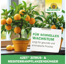 Neudorff Logo. Zitrone in einem Topf mit Aufschrift Azet Zitrus- und Mediterranpflanzendünger