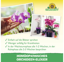 Orchideen-Elixier zur Stärkung der Pflanzen