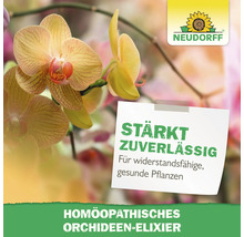 Gelbe Orchidee mit Informationen zum homöopathischen Orchideen-Elixier und Neudorff Logo
