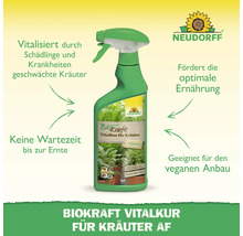 Neudorff Biokraft Vitalkur für Kräuter in einer grünen Sprühflasche