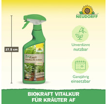 Neudorff BioKraft Vitalkur für Kräuter, Flasche mit Sprühkopf, 27,5 cm hoch
