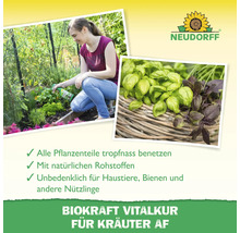 Anwendung und Vorteile der Biokraft Vitalkur für Kräuter von Neudorff im Überblick.