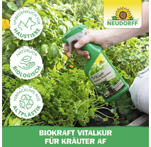 Neudorff Biokraft Vitalkur für Kräuter, Anwendung im Garten, Siegel: Unbedenklich für Haustiere, biologisch, Verpackung aus Altplastik, Neudorff Logo