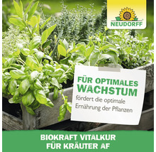 Kräutergarten mit Schild und Neudorff Logo für optimales Pflanzenwachstum.