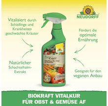 Neudorff Biokraft Vitalkur für Obst und Gemüse, Sprühflasche