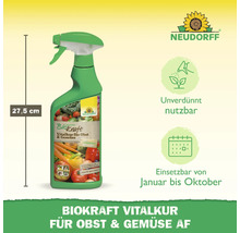 Neudorff Biokraft Vitalkur für Obst und Gemüse, 27,5 cm Flasche