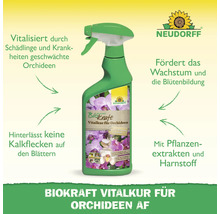 Neudorff Biokraft Vitalkur für Orchideen in einer Sprühflasche.