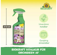 Neudorff Biokraft Vitalkur für Orchideen, 27,5 cm