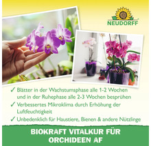 Neudorff Biokraft Vitalkur für Orchideen zur Verbesserung des Mikroklimas und zur Blattpflege, dargestellt mit Orchideen