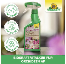 Neudorff Biokraft Vitalkur für Orchideen im Pumpspender