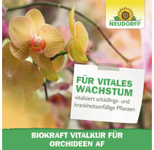 Neudorff Logo mit dem Schriftzug Für vitales Wachstum, Biokraft Vitalkur für Orchideen AF