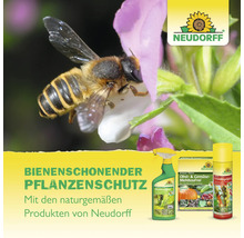 Bienenfreundlicher Pflanzenschutz mit Produkten von Neudorff, dargestellt mit einer Biene auf einer Blüte.