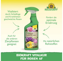 Neudorff Biokraft Vitalkur für Rosen, Flasche