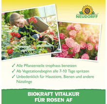 Neudorff Logo. Frau pflegt Rosen. Vital Kur für Rosen.