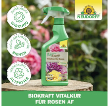 Neudorff Biokraft Vitalkur für Rosen AF in einer grünen Sprühflasche