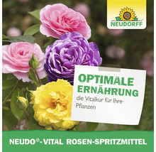 Neudorff Vital Rosenspritzmittel mit Rosen in Gelb, Lila und Rosa und Neudorff Logo