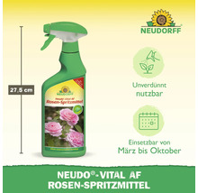 Neudorff Rosen-Spritzmittel, 27,5 cm Flasche zur Rosenpflege