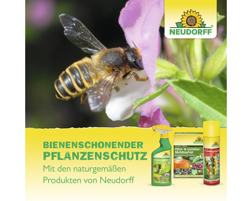 Bienenschonender Pflanzenschutz von Neudorff mit Logo und Nahaufnahme einer Biene auf einer Blüte