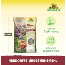 Urgesteinsmehl Neudorff 10 kg / 100 m²