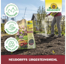 Urgesteinsmehl Neudorff 10 kg / 100 m²