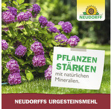 Urgesteinsmehl Neudorff 10 kg / 100 m²