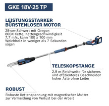 Bosch GKE 18V-25 TP Akku Hochentaster mit 25 Zentimeter Schwertlänge und Teleskopstange