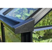 Detailansicht eines Gewächshauses mit Glaselementen und schwarzem Rahmen