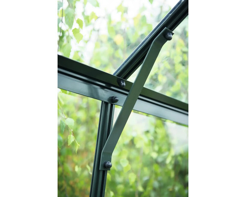Detailansicht eines Gewächshauses mit Fensterstrebe