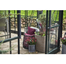 Gewächshaus-Szene mit Pflanzen in Töpfen und dekorativen Elementen.