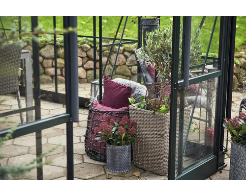 Gewächshaus-Szene mit Pflanzen in Töpfen und dekorativen Elementen.