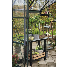 Gewächshaus mit Pflanzen, Tisch und Dekorationen im Garten.