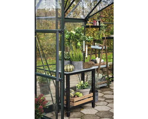 Gewächshaus mit Pflanzen, Tisch und Dekorationen im Garten.