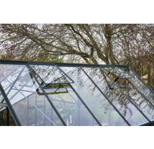 Gewächshaus mit geöffneten Fenstern im Garten.