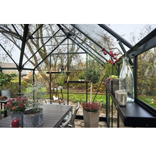 Innenansicht eines Gewächshauses mit Tisch, Stühlen und Pflanzen