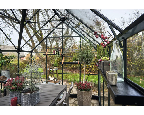 Innenansicht eines Gewächshauses mit Tisch, Stühlen und Pflanzen