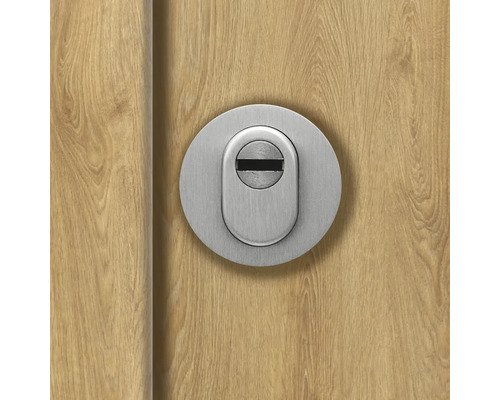 Türbeschlag mit Zylinderschlossrosette auf Holztür