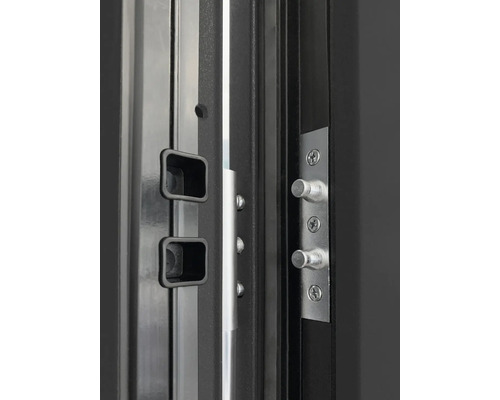 Detailansicht eines Sicherheitstürschlosses mit Bolzen